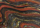 Polished Tiger Iron Stromatolite - ( Billion Years) #64009-1